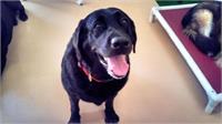 daycare pic 39 - Ike